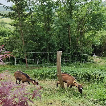 En Pleine Nature A La Campagne Apartment
